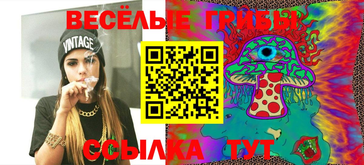 Галлюциногенные грибы Cubensis  Вход с VPN  Гурьевск 